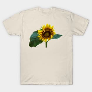 Sunflower Glancing Down T-Shirt